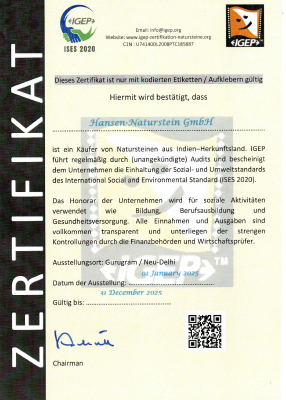 IGEP-Zertifikat 2025
